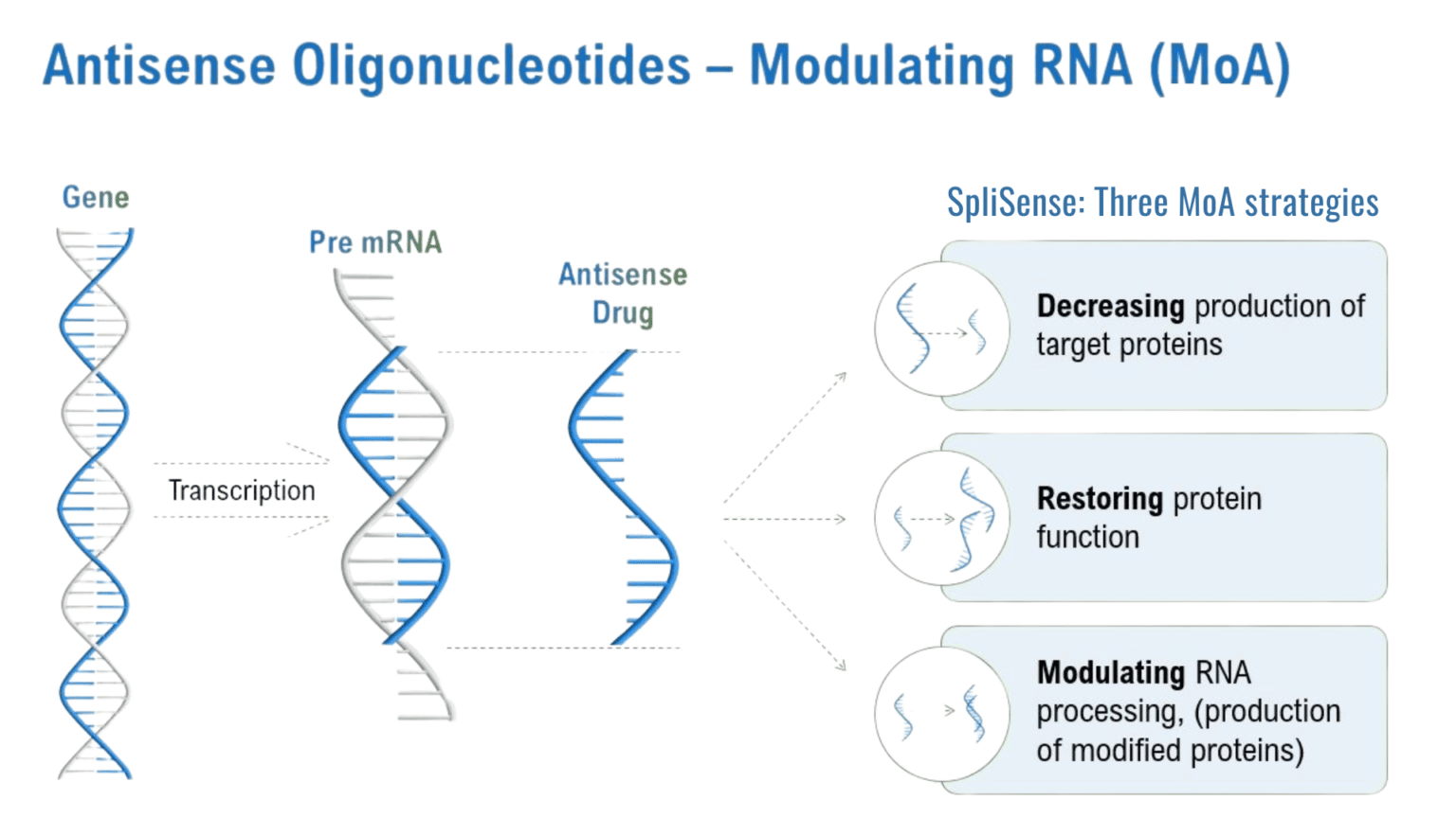 About Antisense Oligonucleotides (ASOs) | splisense.com