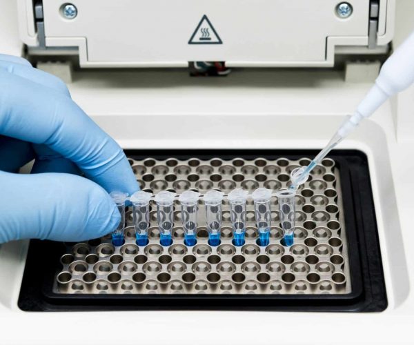 DNA amplification, Reverse transcription PCR, RNA, scientist